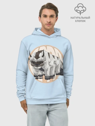 Худи мужской база хлопок / Appa