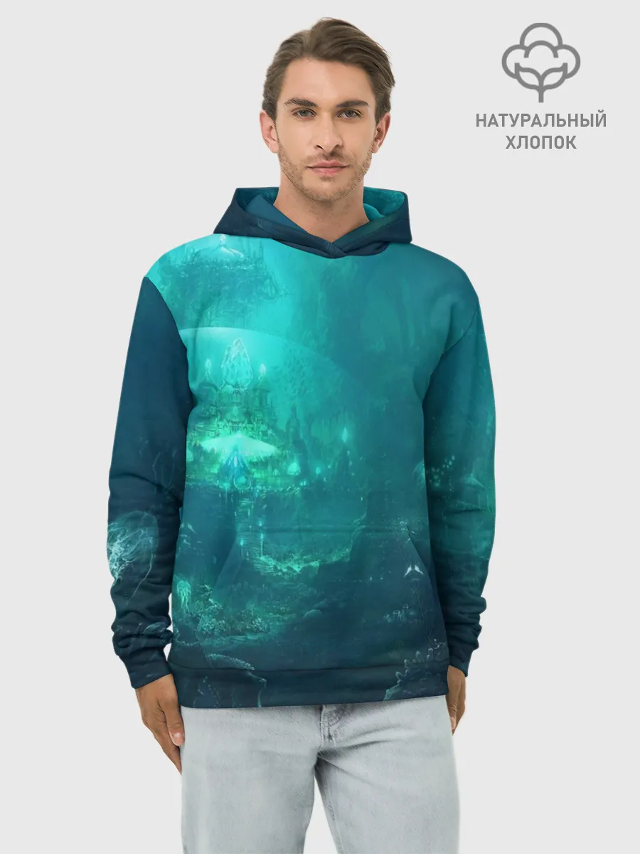 Худи мужской база хлопок / Дно морское
