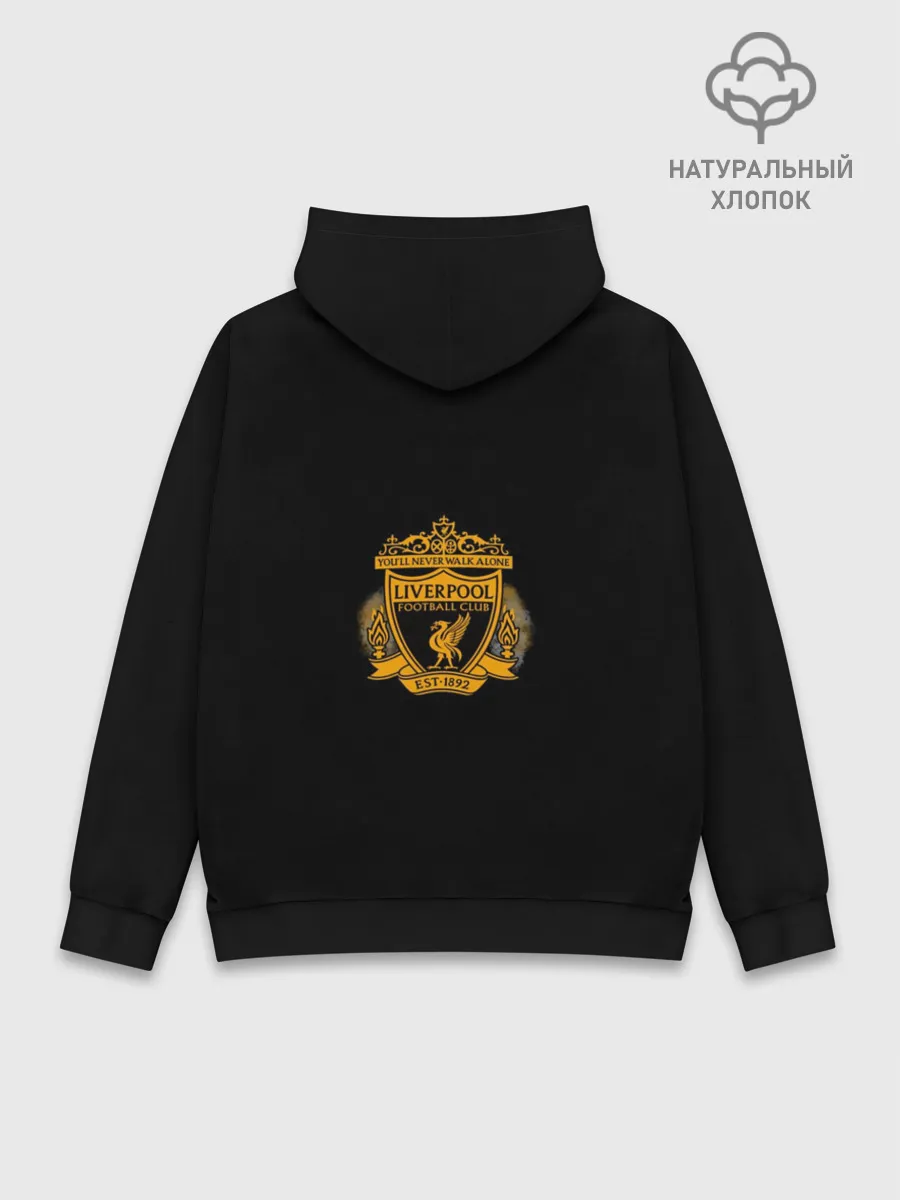 Худи мужской база хлопок / Диогу Жота