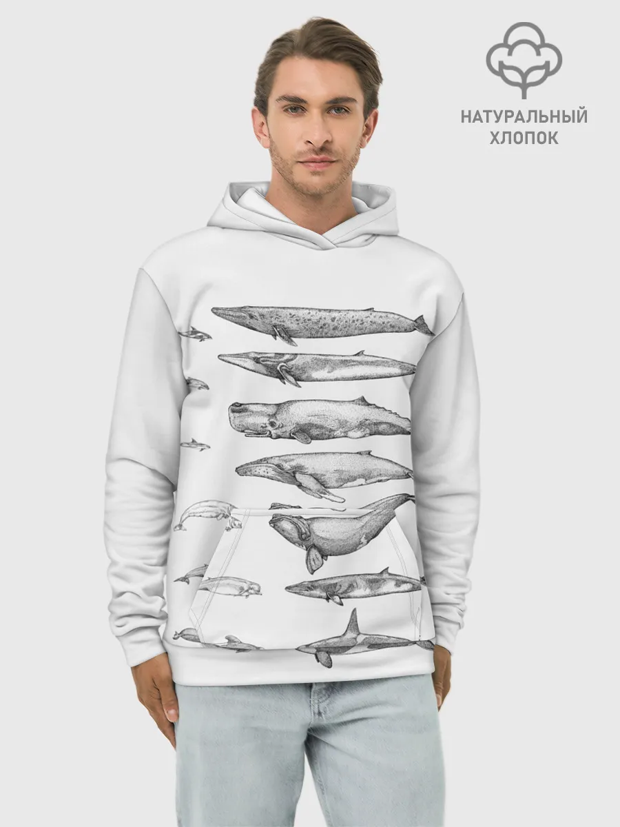 Худи мужской база хлопок / киты графика