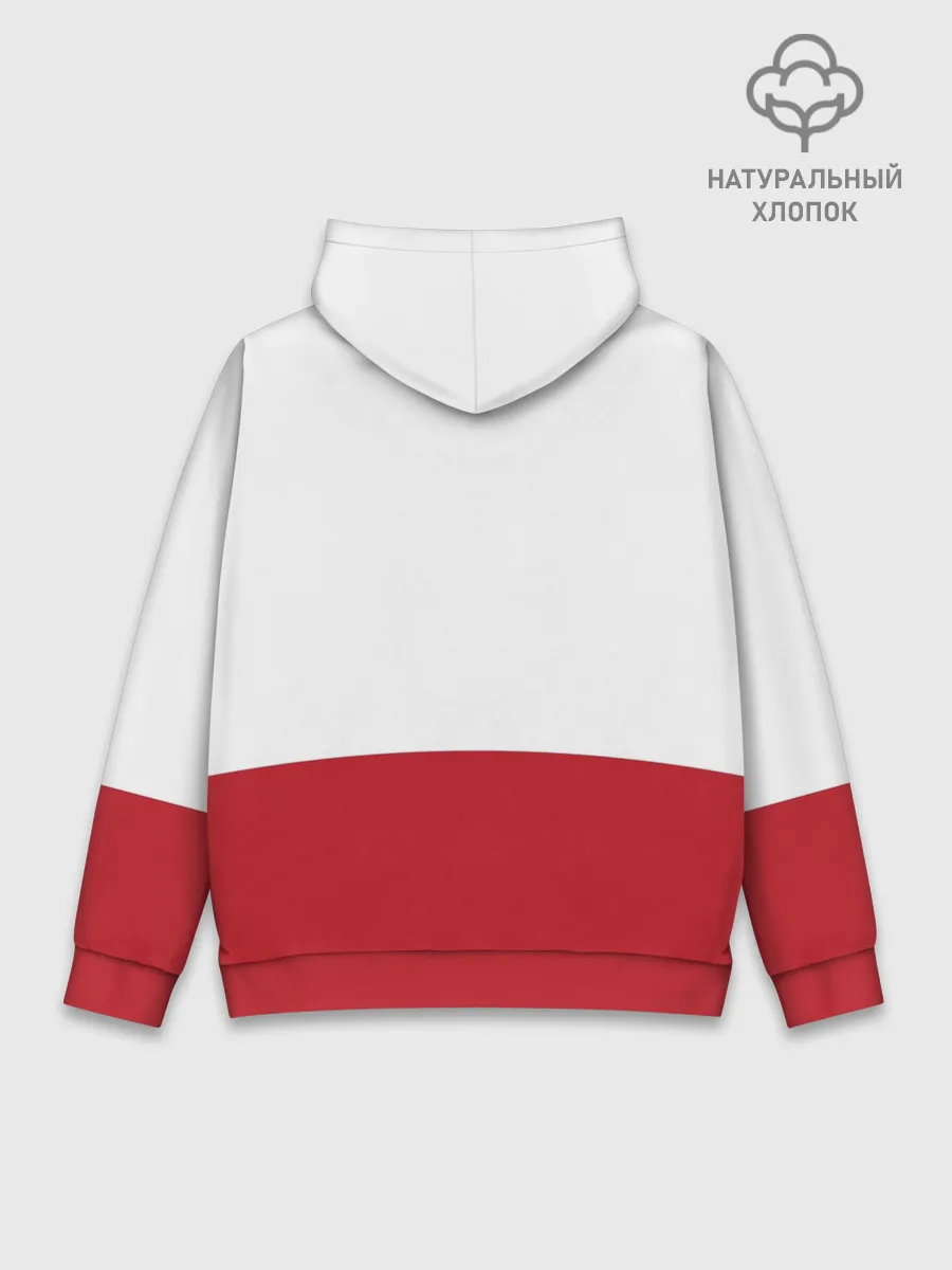 Худи мужской база хлопок / Yoko Littner