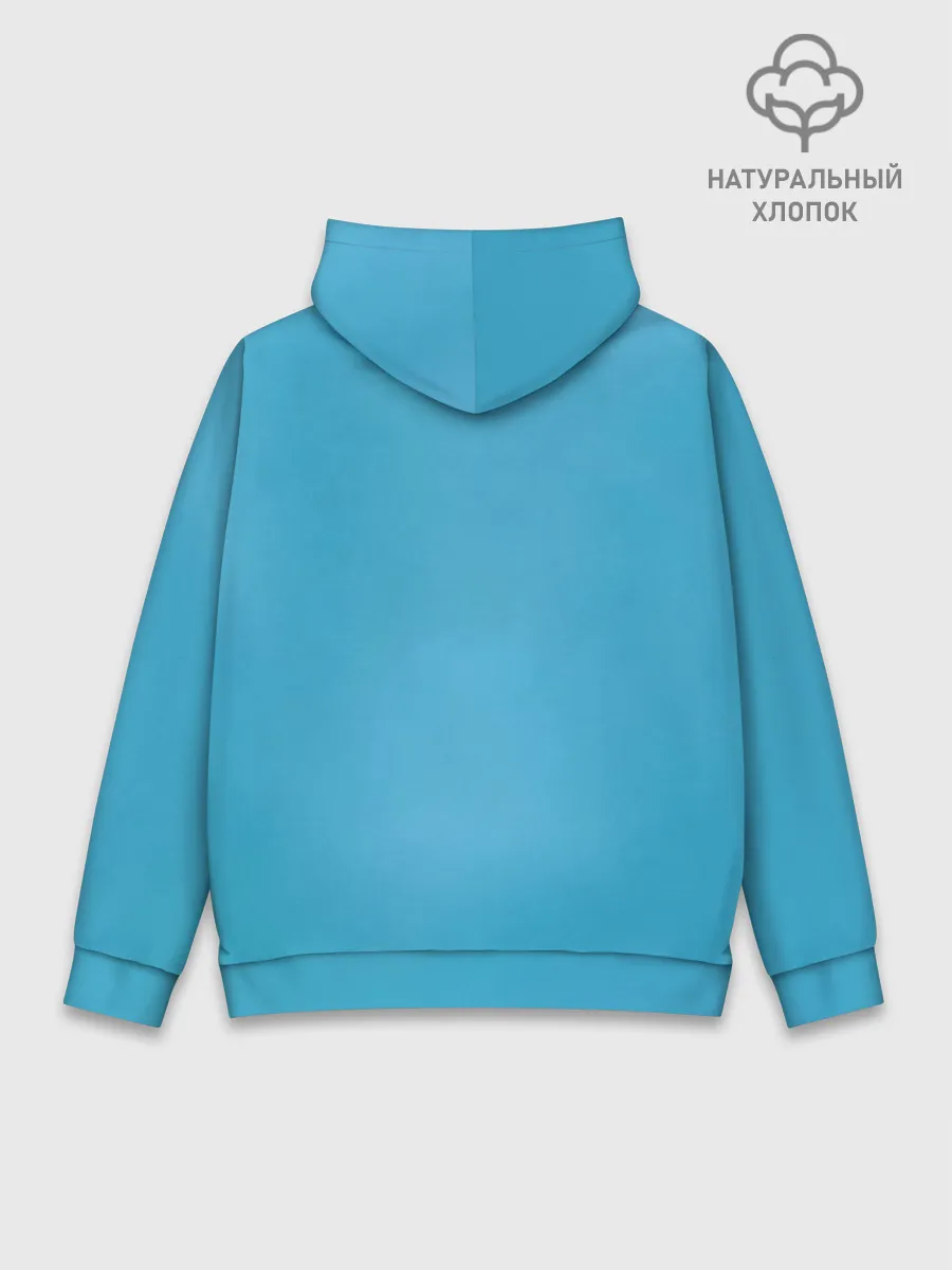 Худи мужской база хлопок / Легендарный ёж