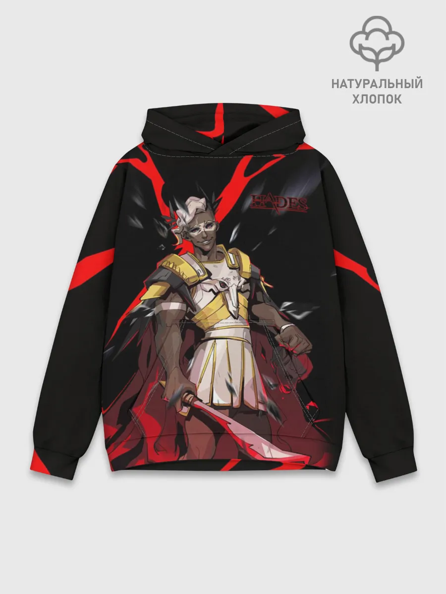 Худи мужской база хлопок / Hades Ares
