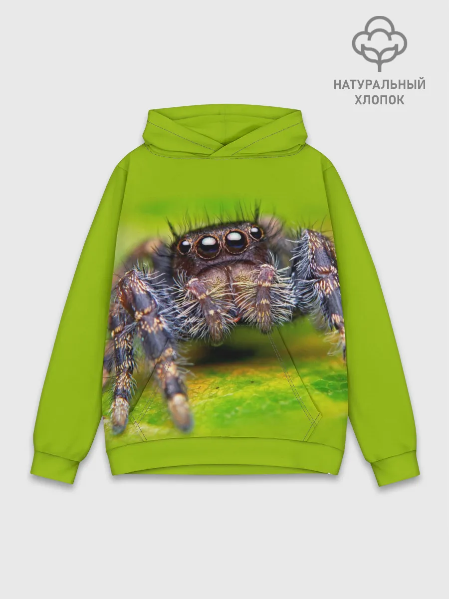 Худи мужской база хлопок / ПАУК МАКРО