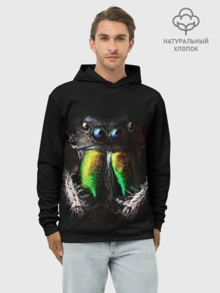 Худи мужской база хлопок / ПАУК МАКРО СЪЕМКА