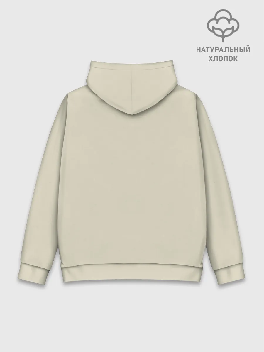 Худи мужской база хлопок / Nasa x Rocket league