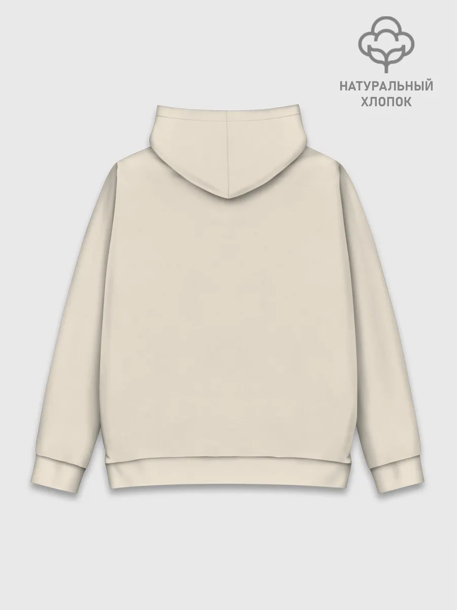 Худи мужской база хлопок / Flying car