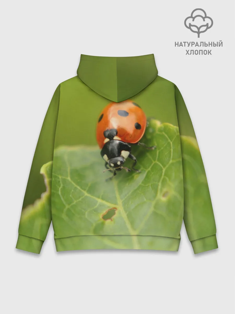 Худи мужской база хлопок / Божья коровка