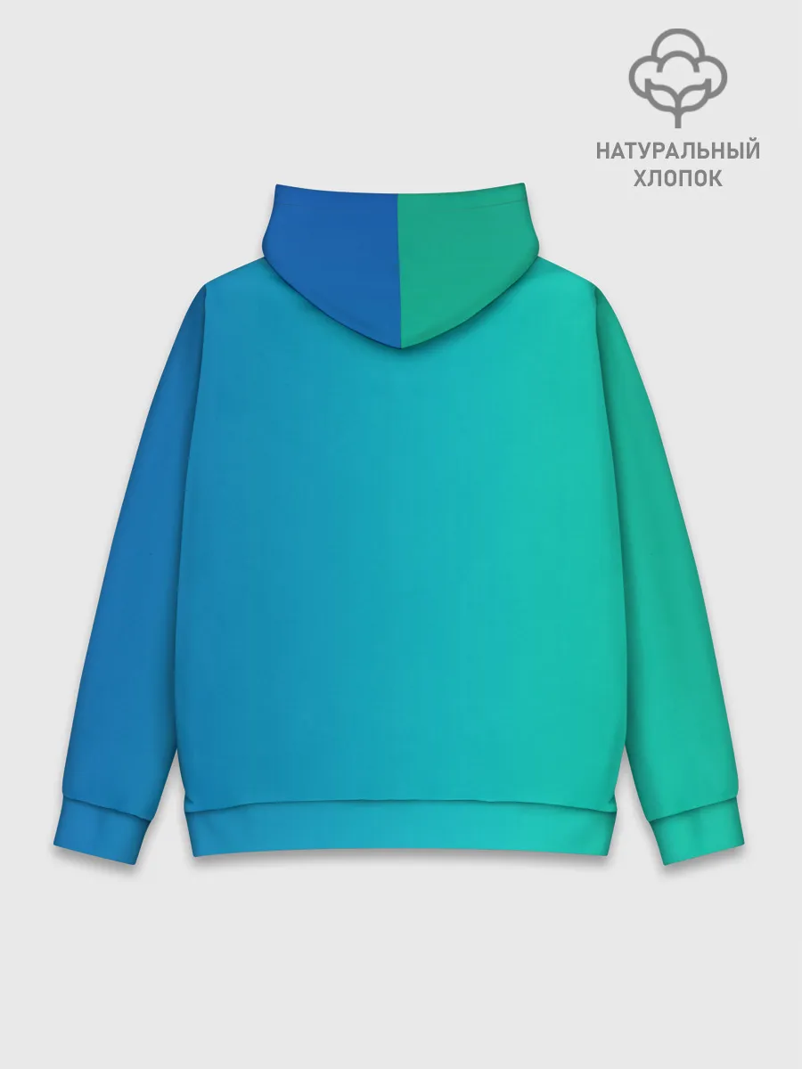 Худи мужской база хлопок / Тору