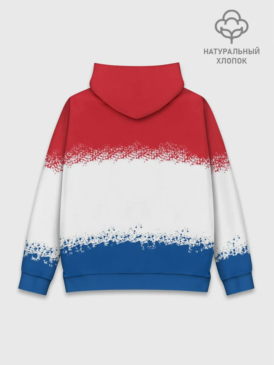 Худи мужской база хлопок / Нидерланды