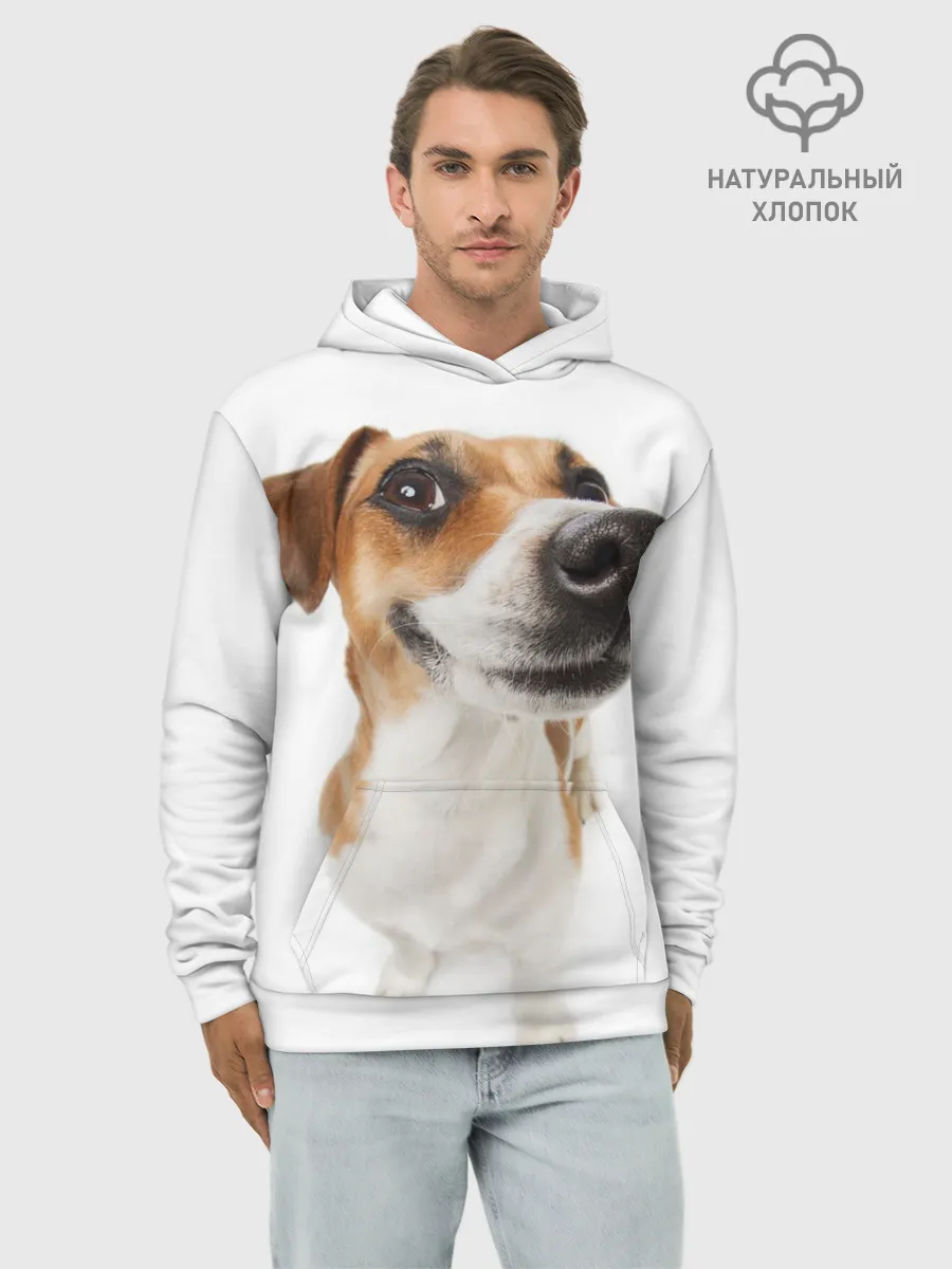 Худи мужской база хлопок / Собака