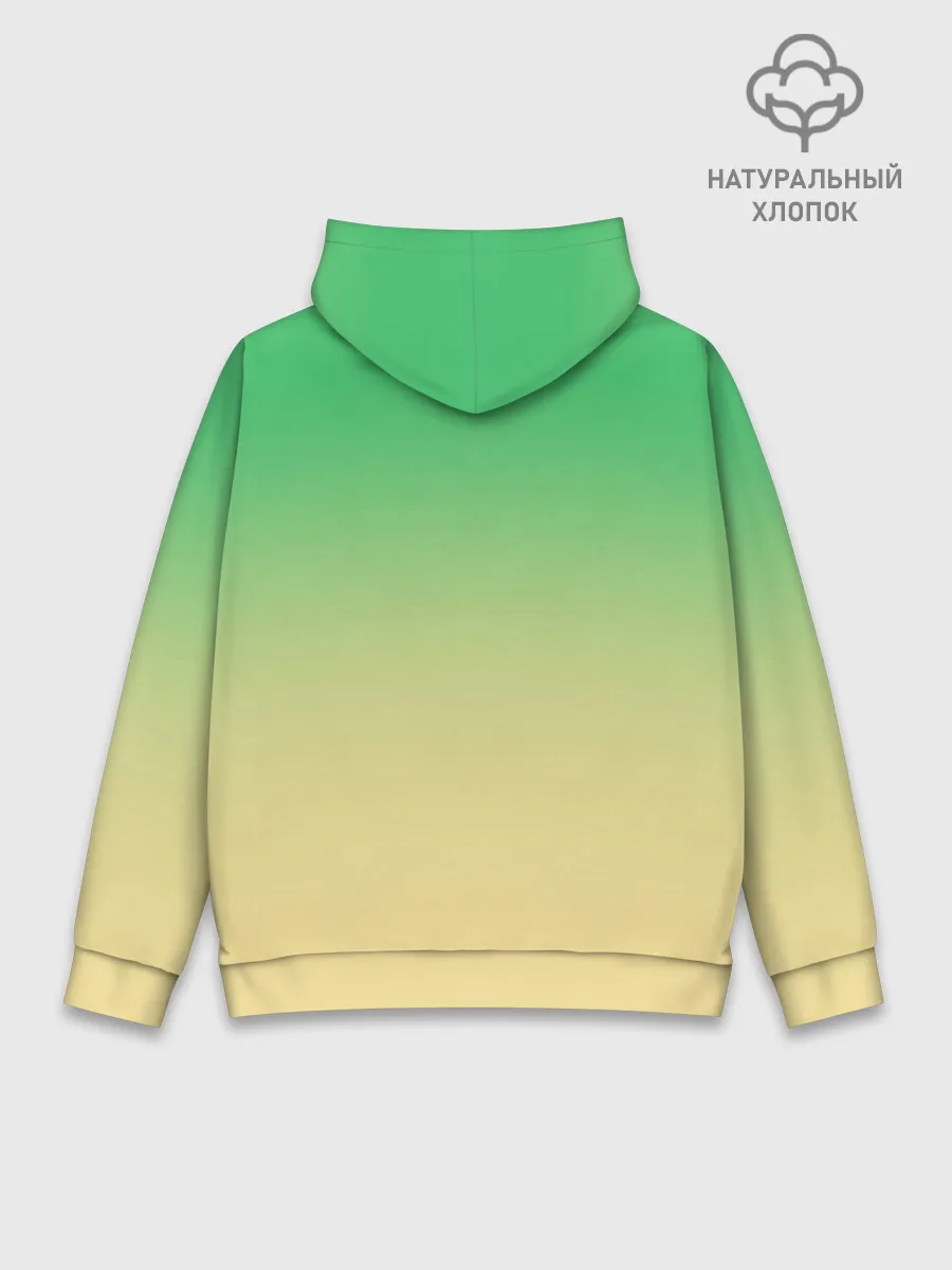 Худи мужской база хлопок / Дракон