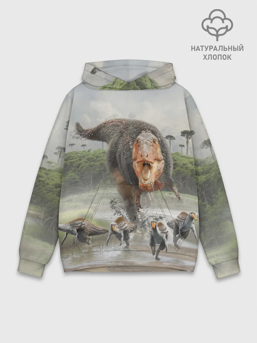 Худи мужской база хлопок / Т-Рекс | Динозавр | Dino