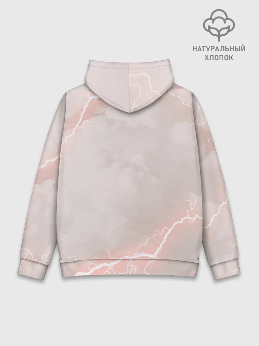 Худи мужской база хлопок / Птеродактили | Мир Юрского Периода