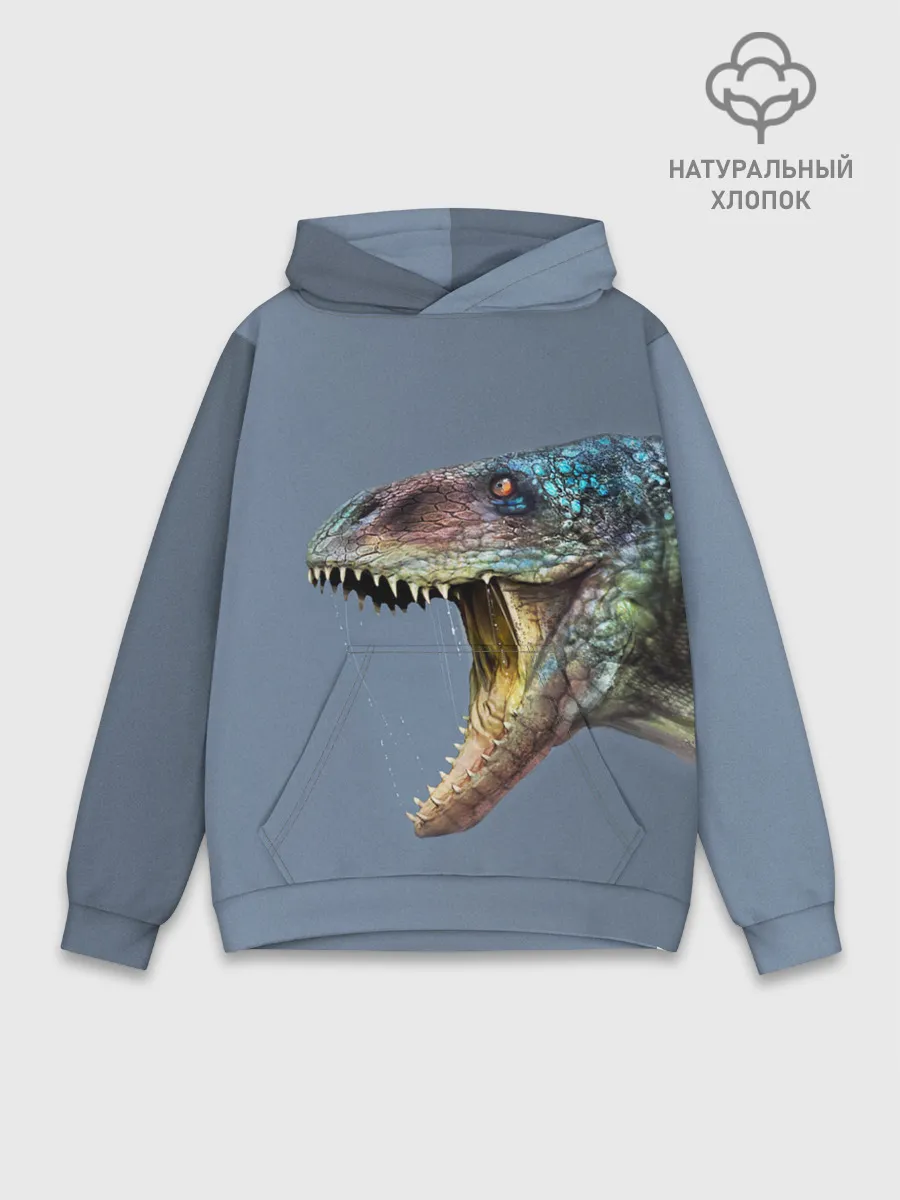 Худи мужской база хлопок / Хищный динозавр | Dino