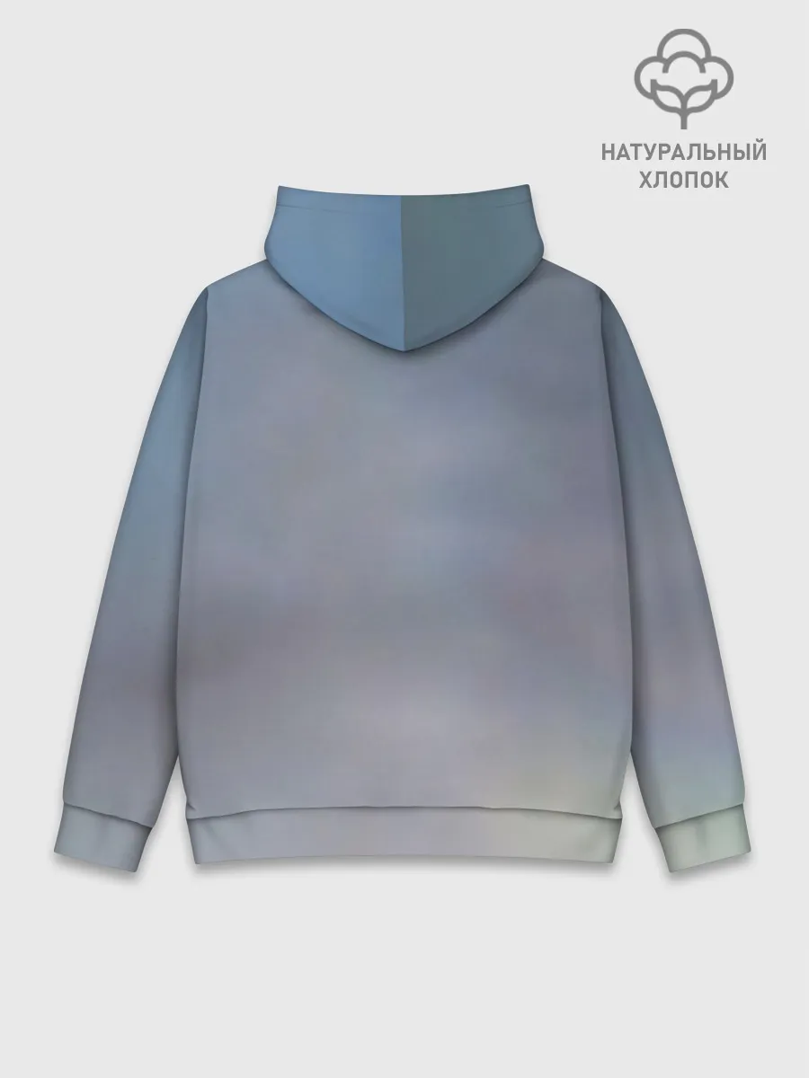 Худи мужской база хлопок / Пикник группа