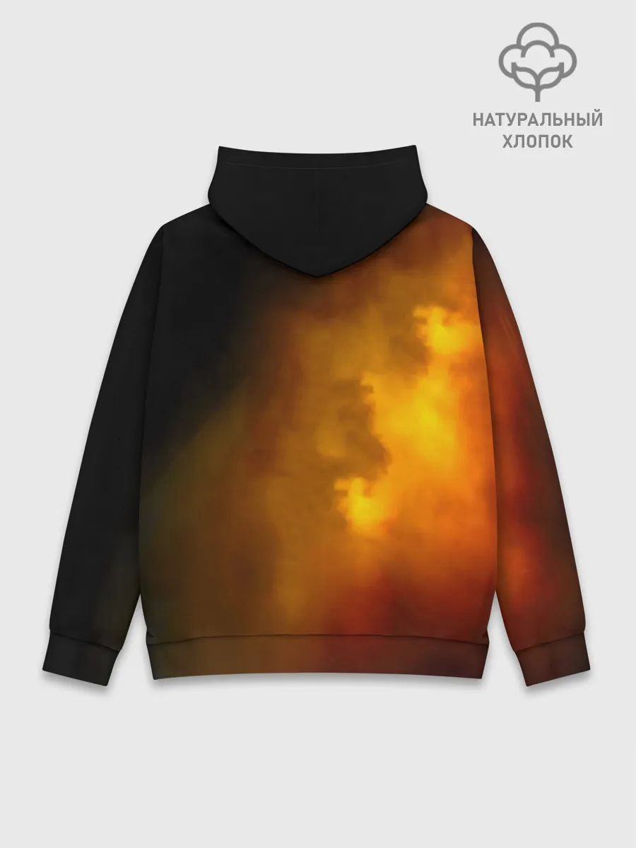 Худи мужской база хлопок / Тараканы! Дмитрий Спирин