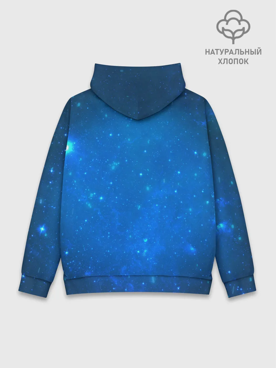 Худи мужской база хлопок / Darwin Project | Королевская Битва