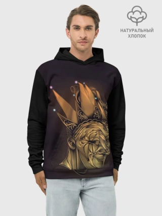 Худи мужской база хлопок / Brejcha