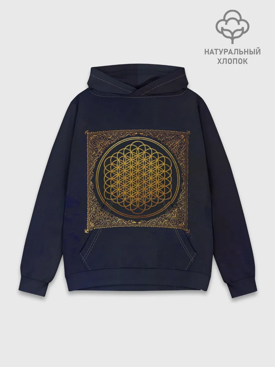 Худи мужской база хлопок / Sempiternal - BMTH