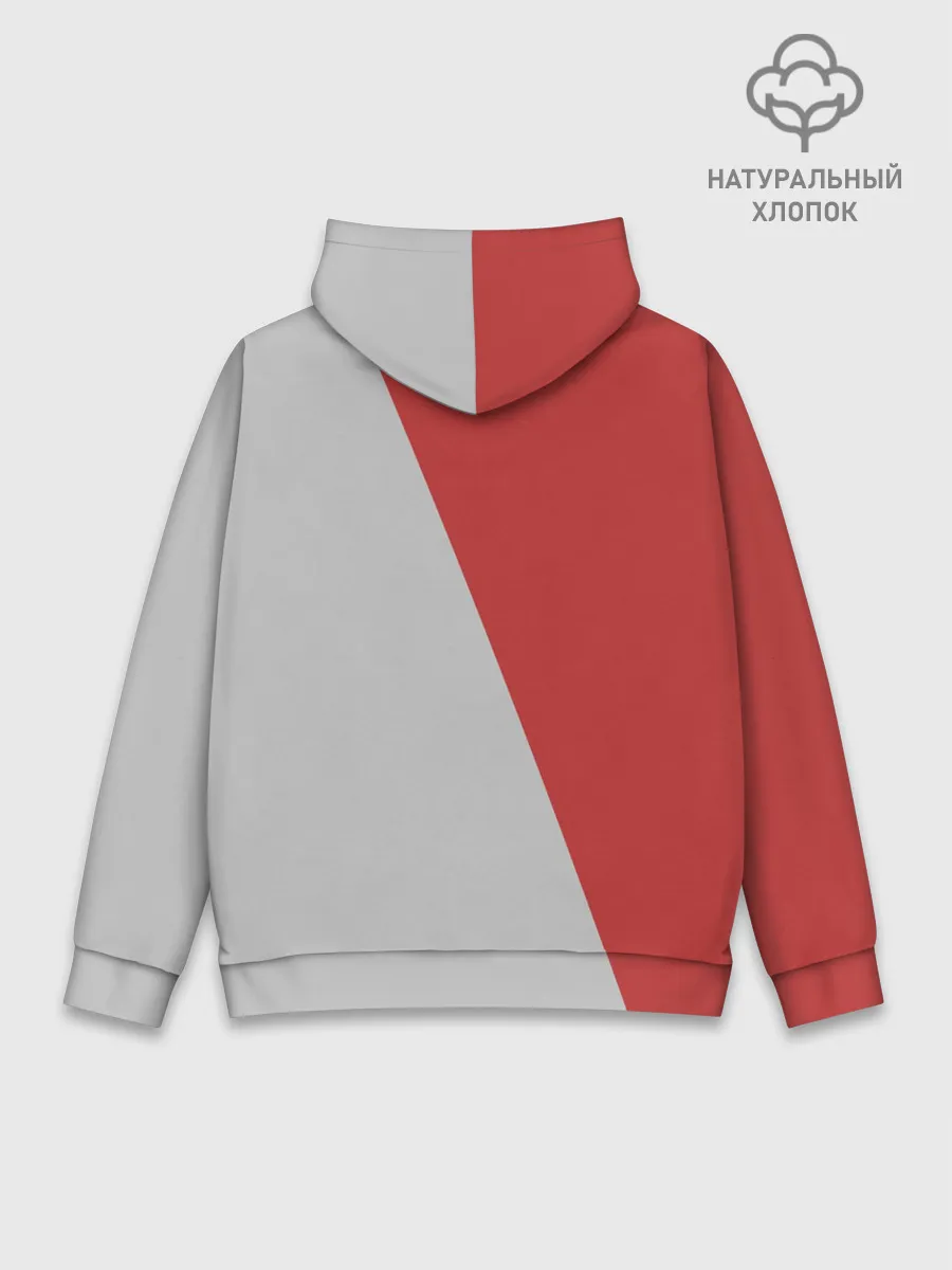 Худи мужской база хлопок / Alicias madness