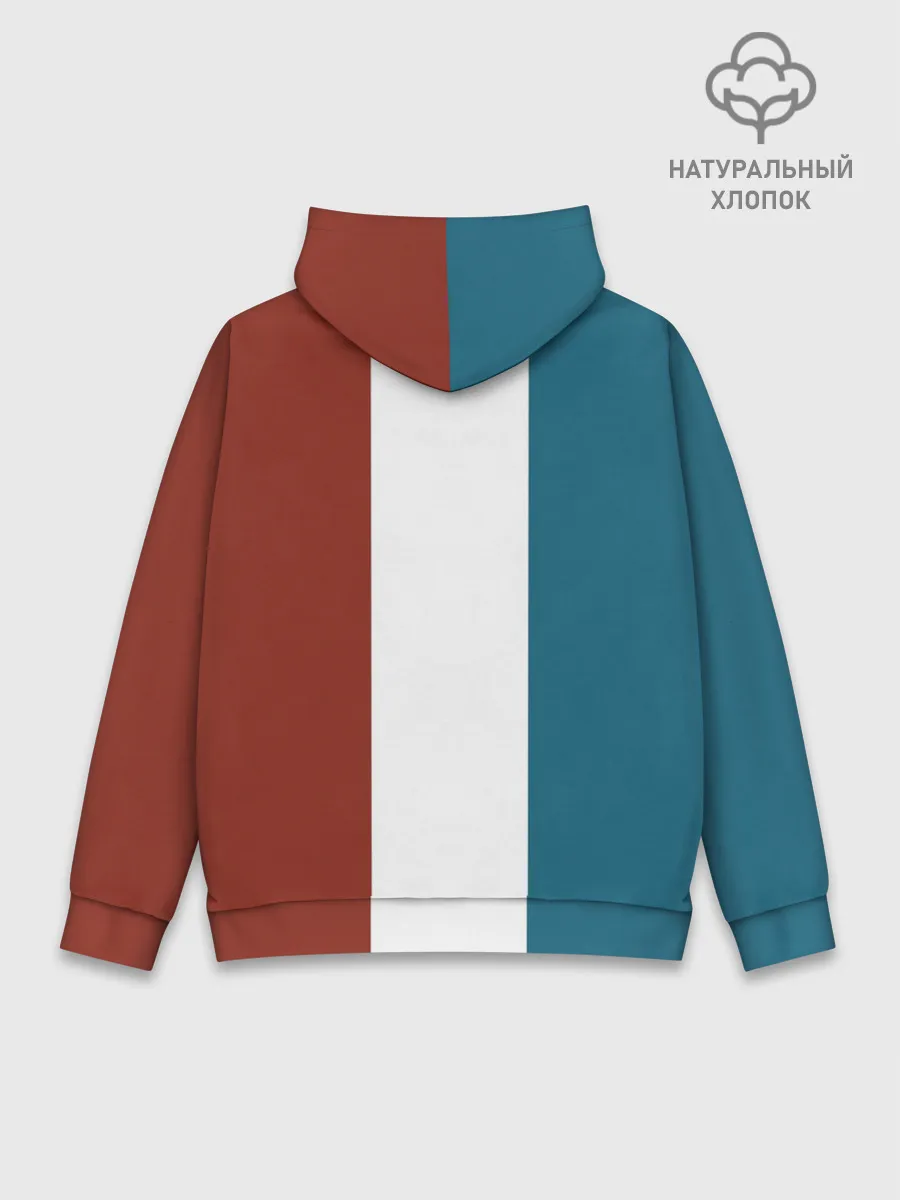 Худи мужской база хлопок / the БИЧ