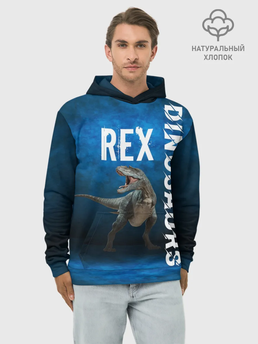Худи мужской база хлопок / Dinosaurs Rex 3D