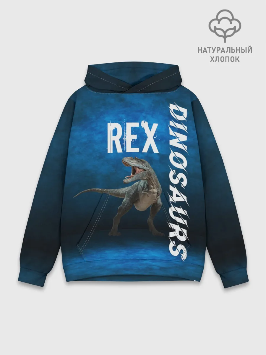 Худи мужской база хлопок / Dinosaurs Rex 3D