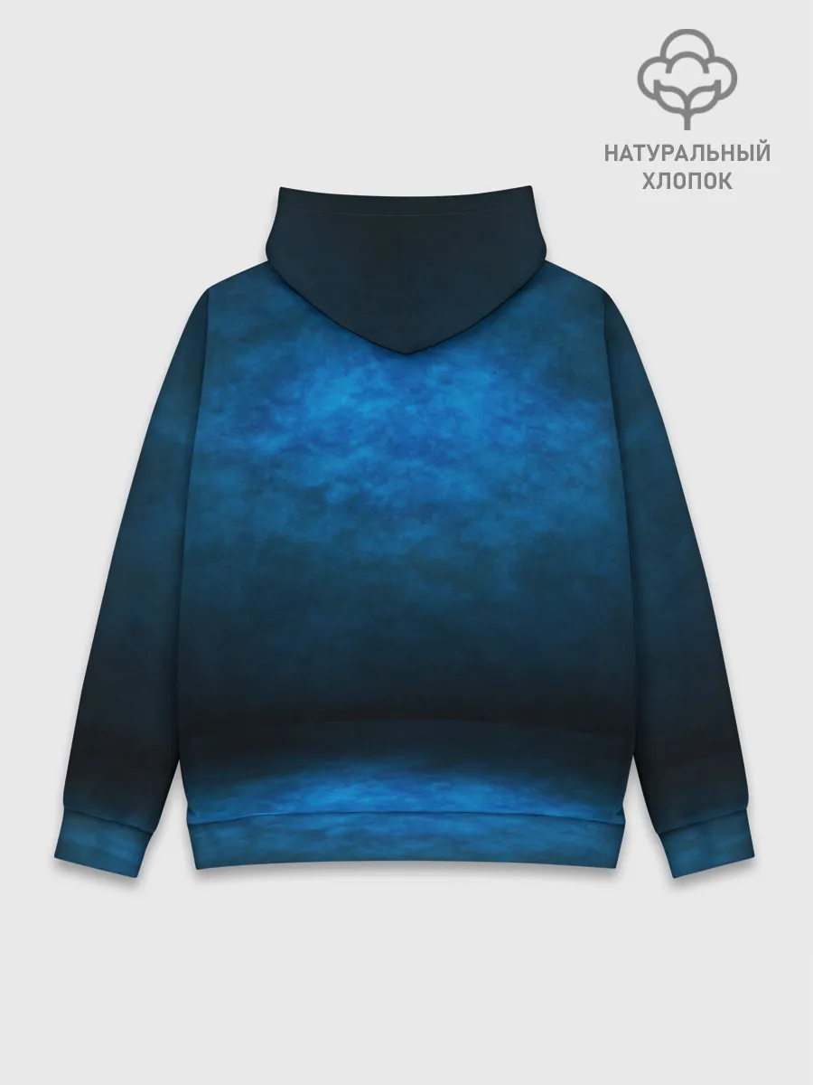 Худи мужской база хлопок / Dinosaurs Rex 3D