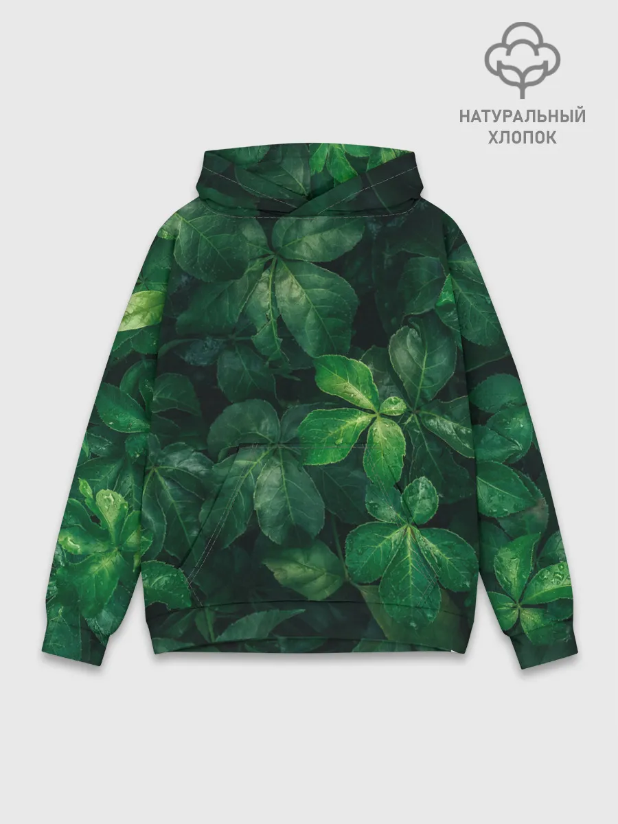 Худи мужской база хлопок / Тропическая листва | Тропики