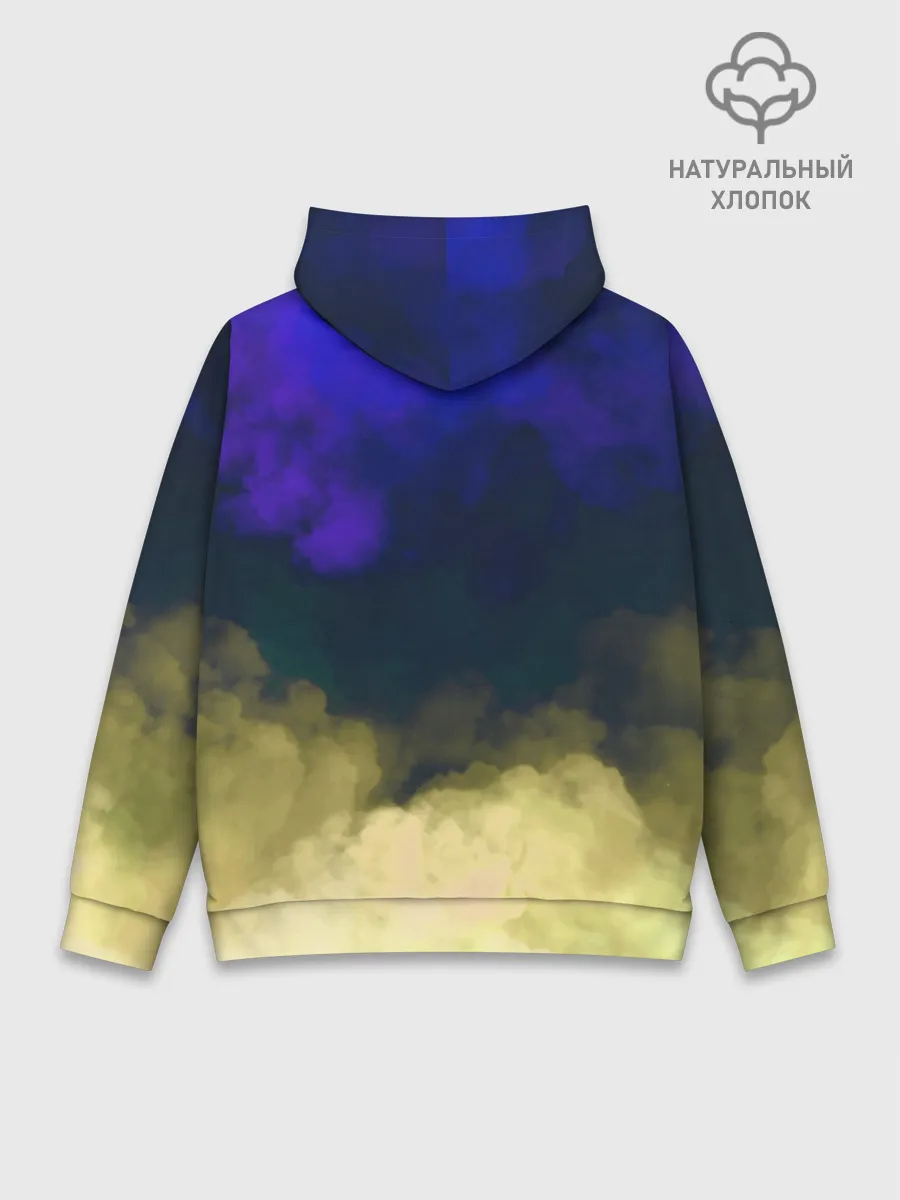 Худи мужской база хлопок / Darwin Project | Battle Royale