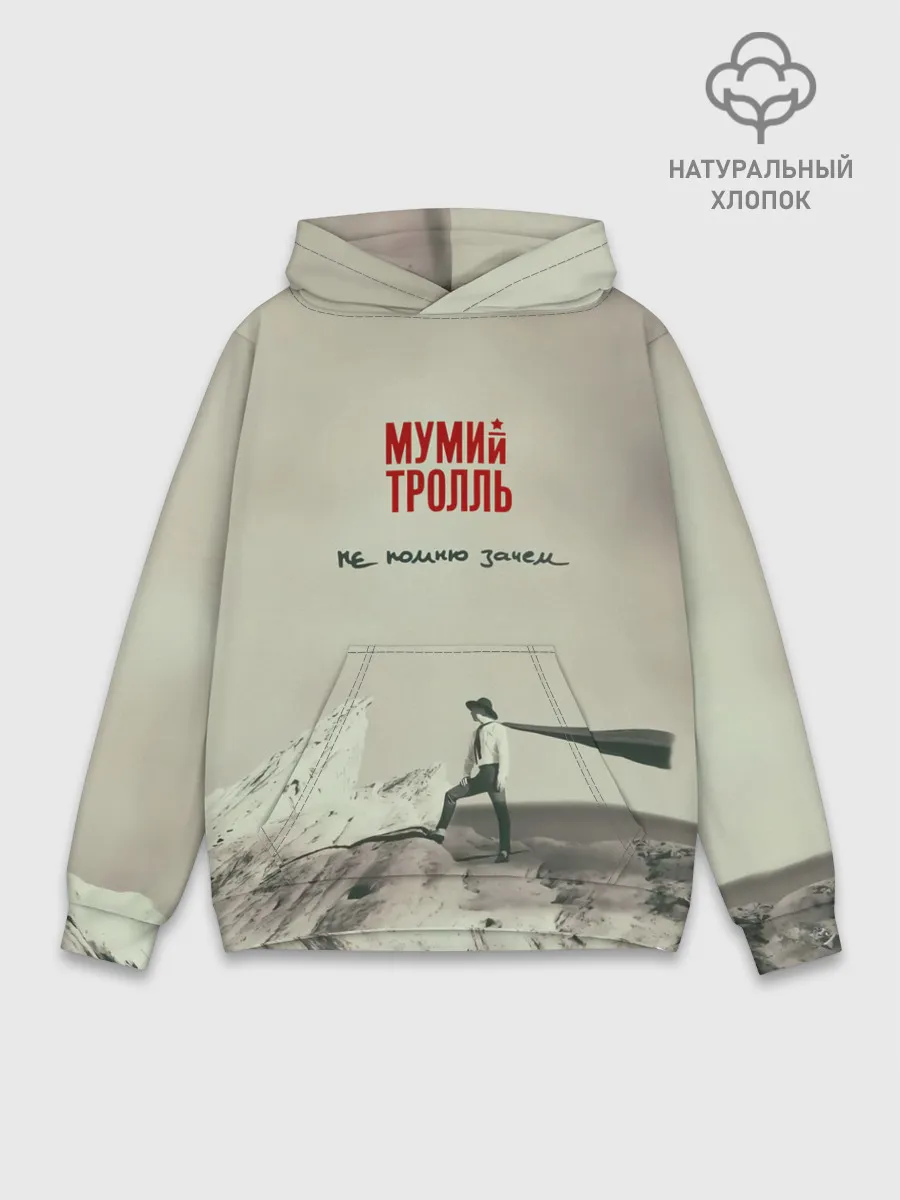 Худи мужской база хлопок / Мумий Тролль Не помню зачем...
