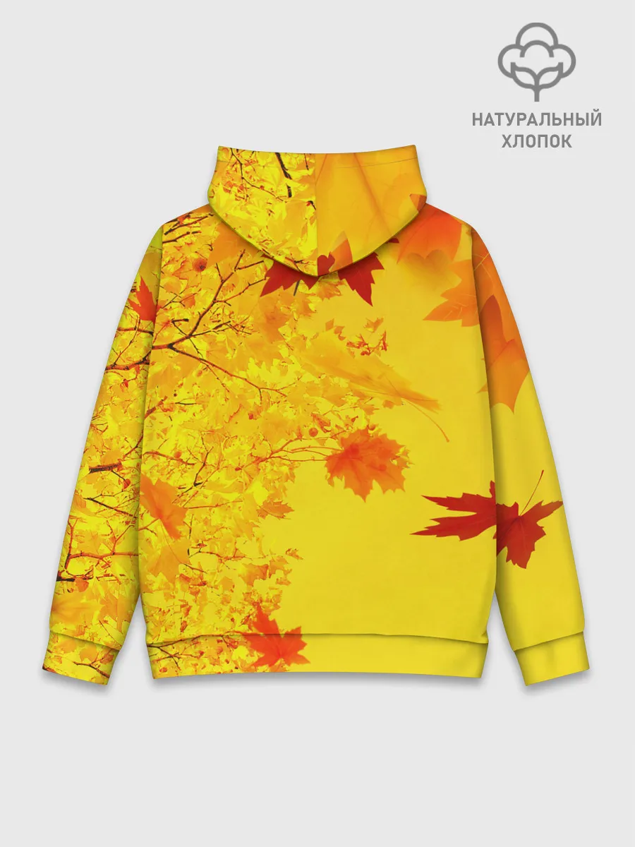 Худи мужской база хлопок / ОСЕННИЕ ЦВЕТА | ЗОЛОТАЯ ОСЕНЬ