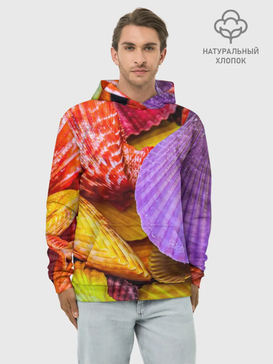 Худи мужской база хлопок / Разноцветные ракушки multicolored seashells