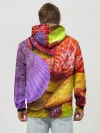 Худи мужской база хлопок / Разноцветные ракушки multicolored seashells