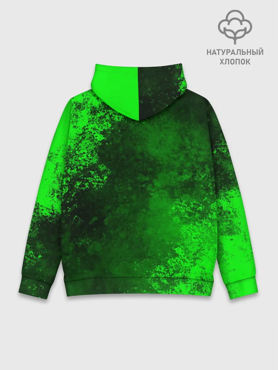 Худи мужской база хлопок / Psychonauts 2 | Распутин