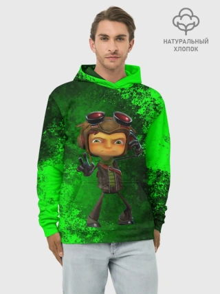 Худи мужской база хлопок / Psychonauts 2 | Распутин