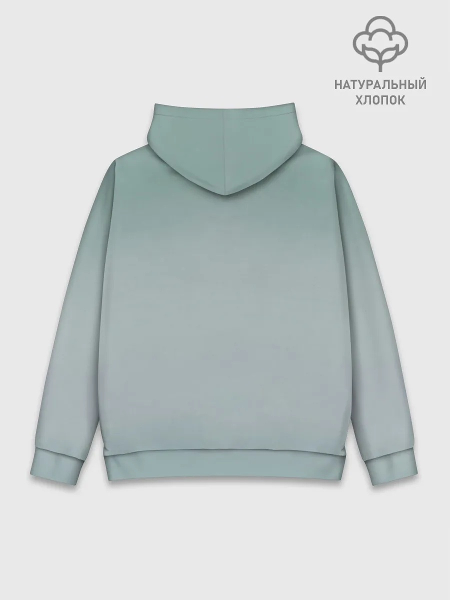 Худи мужской база хлопок / Обворожительная Тейлор