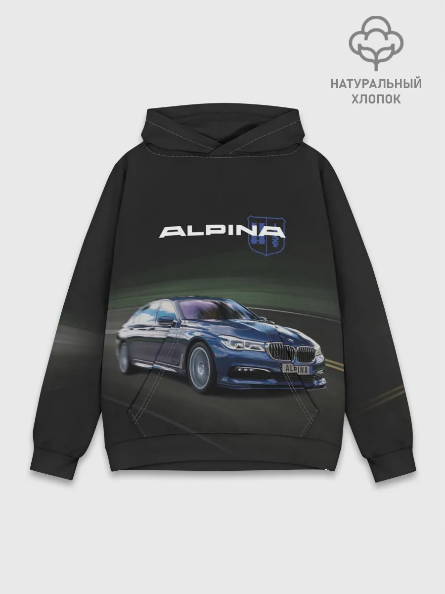 Худи мужской база хлопок / Alpina на дороге