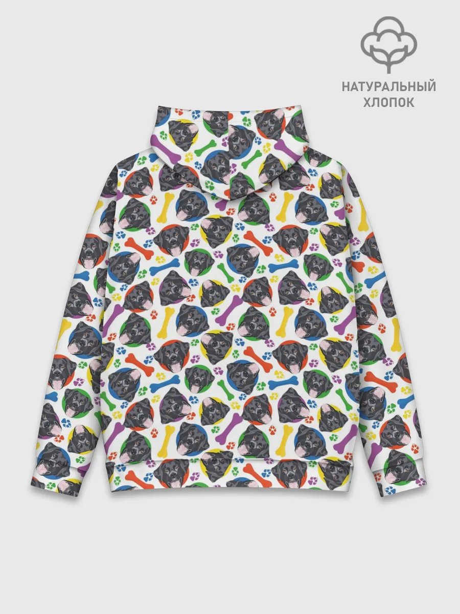 Худи мужской база хлопок / Чёрный Лабрадор