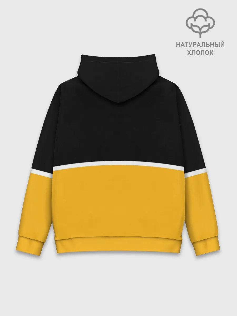 Худи мужской база хлопок / Renault | Два цвета