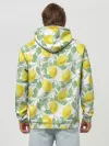 Худи мужской база хлопок / Лимоны 3d
