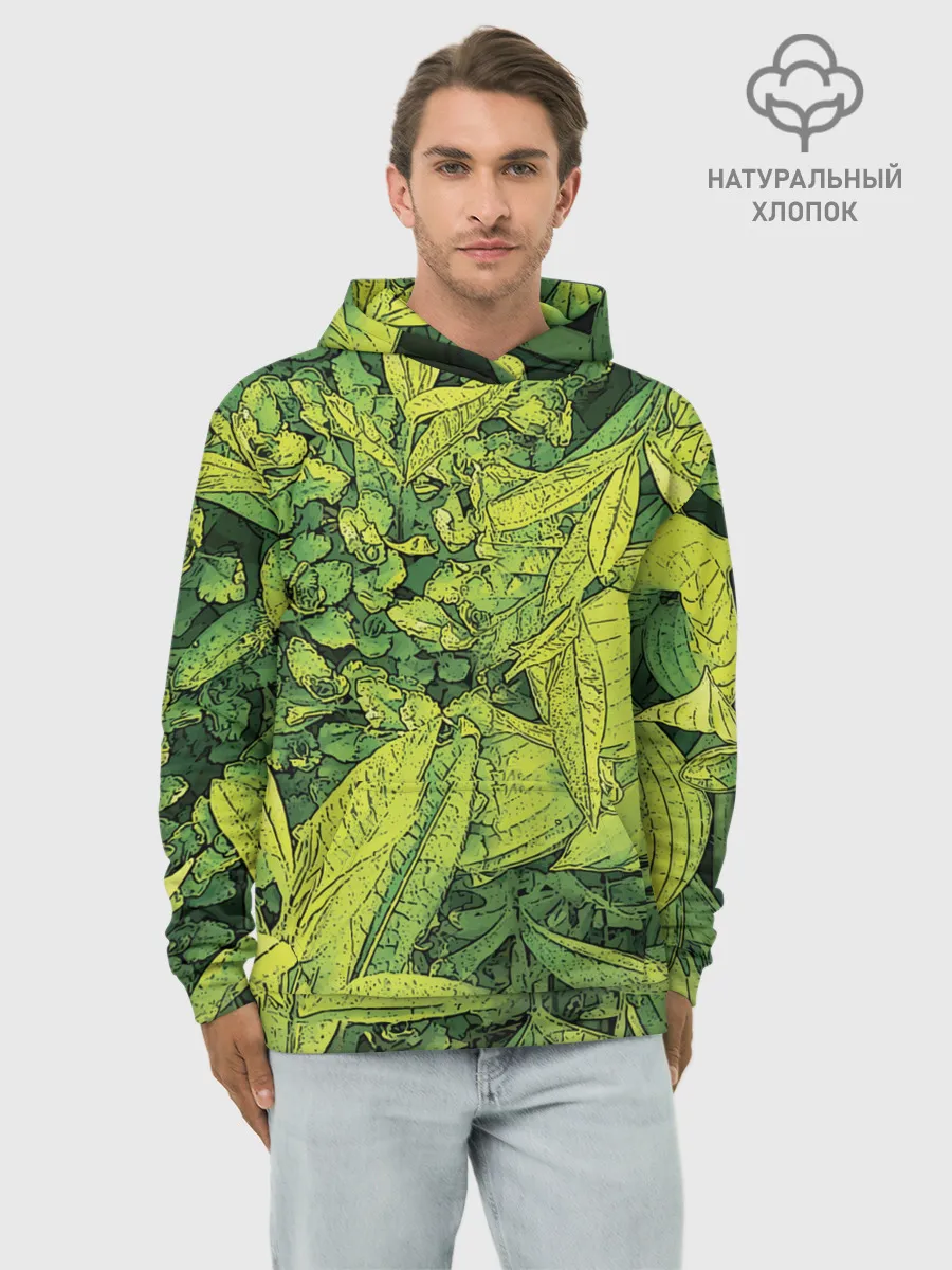 Худи мужской база хлопок / Растительная жизнь - Хоста