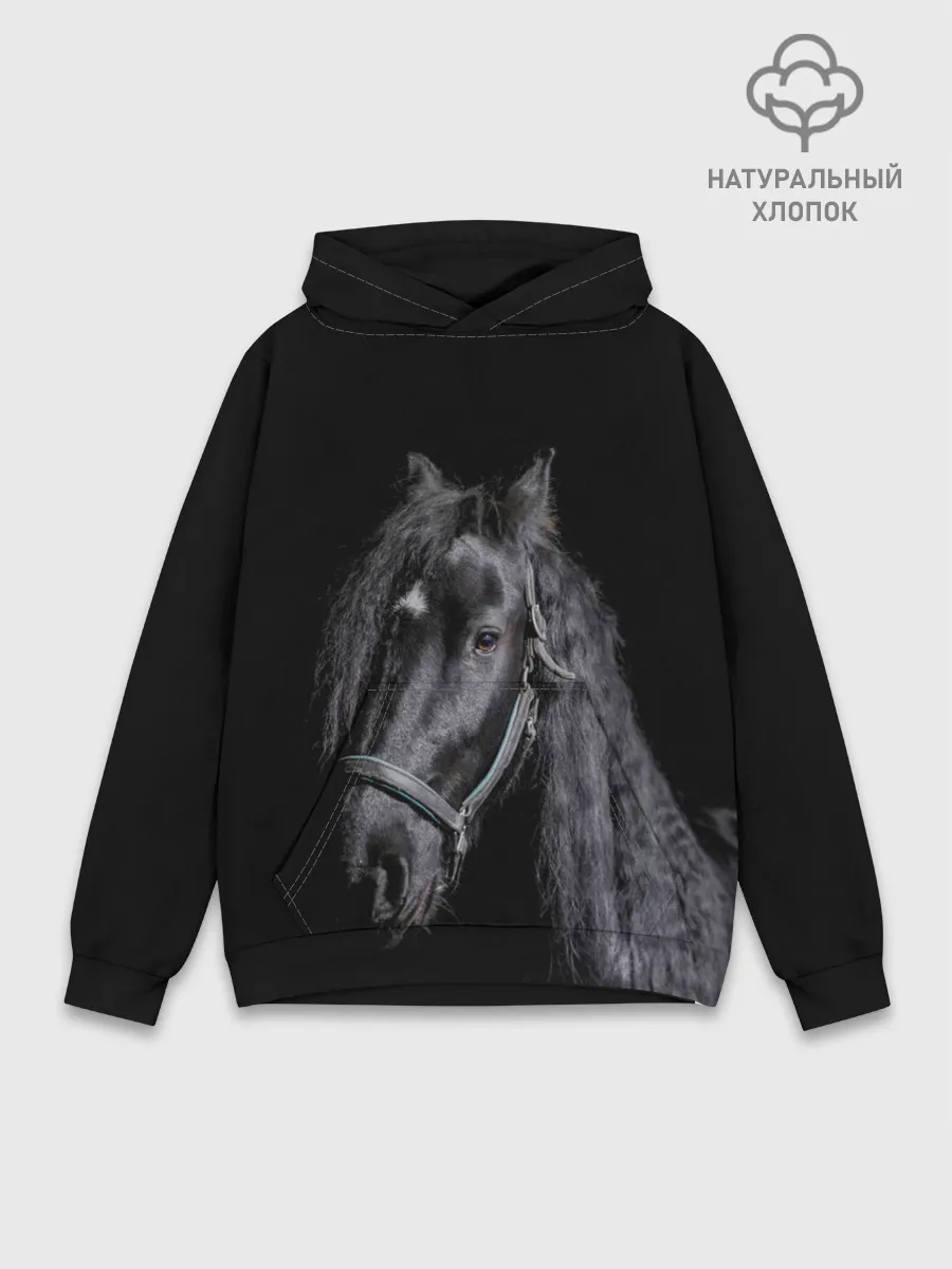 Худи мужской база хлопок / Лошадь на черном фоне