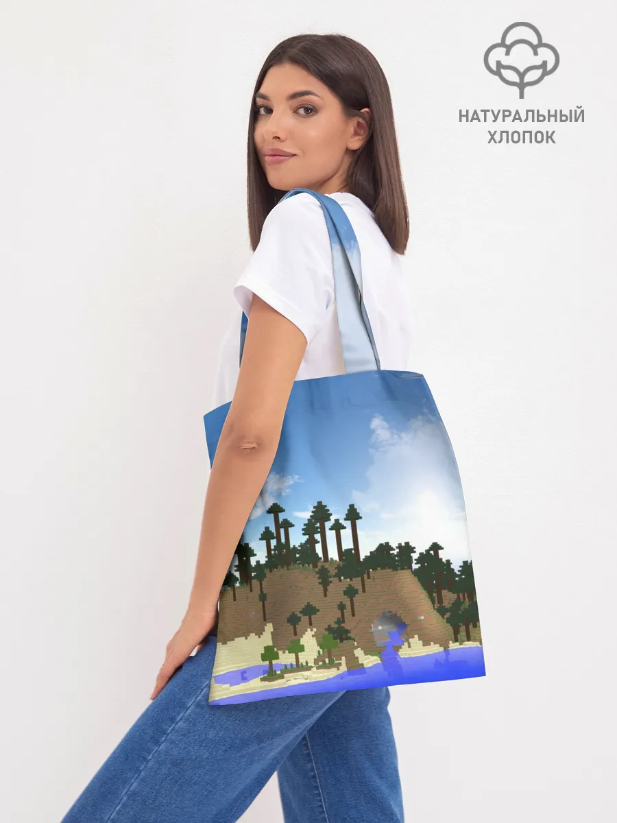 Шоппер база / Стив на Эндер Драконе