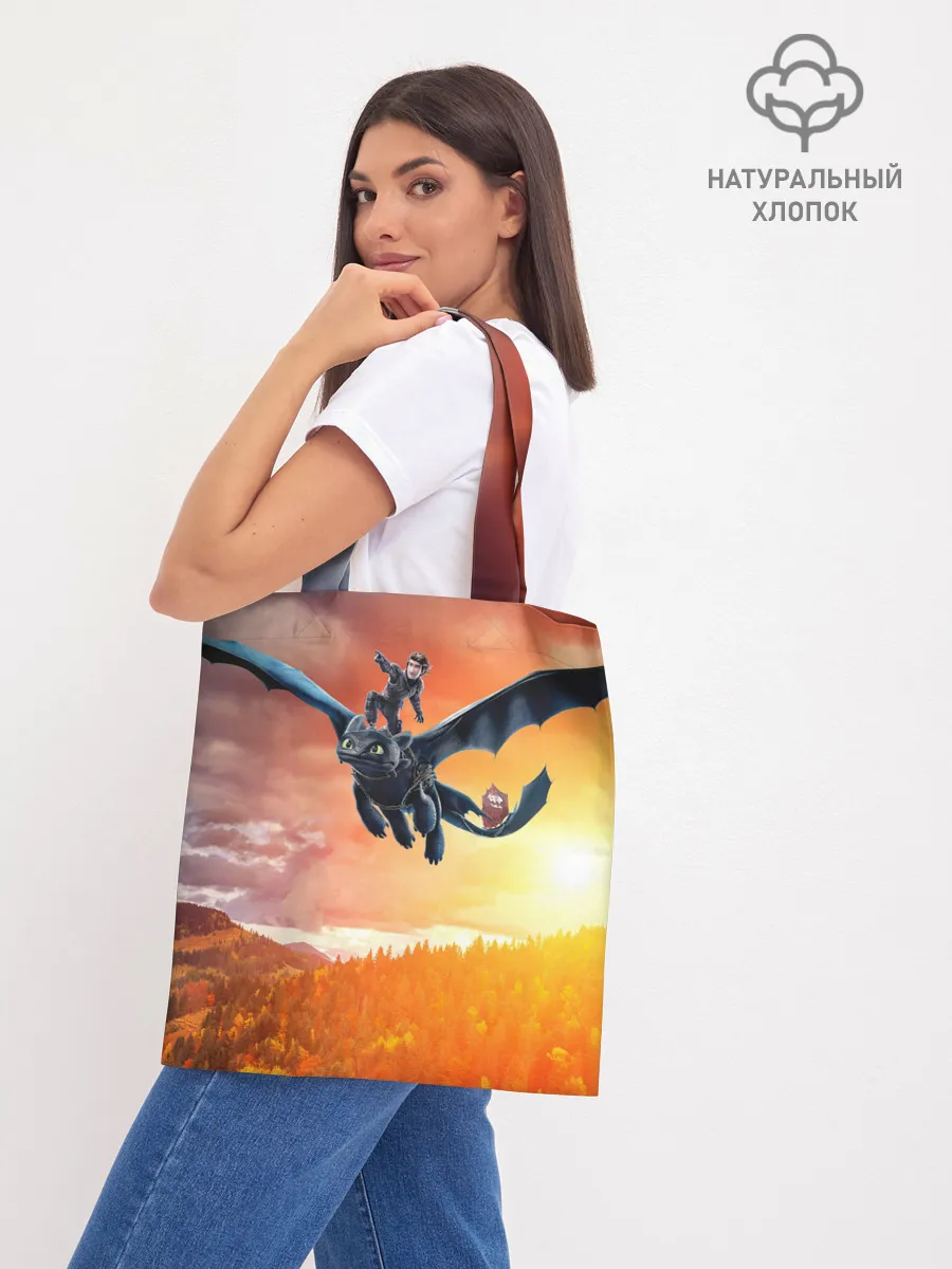 Шоппер база / Night Fury