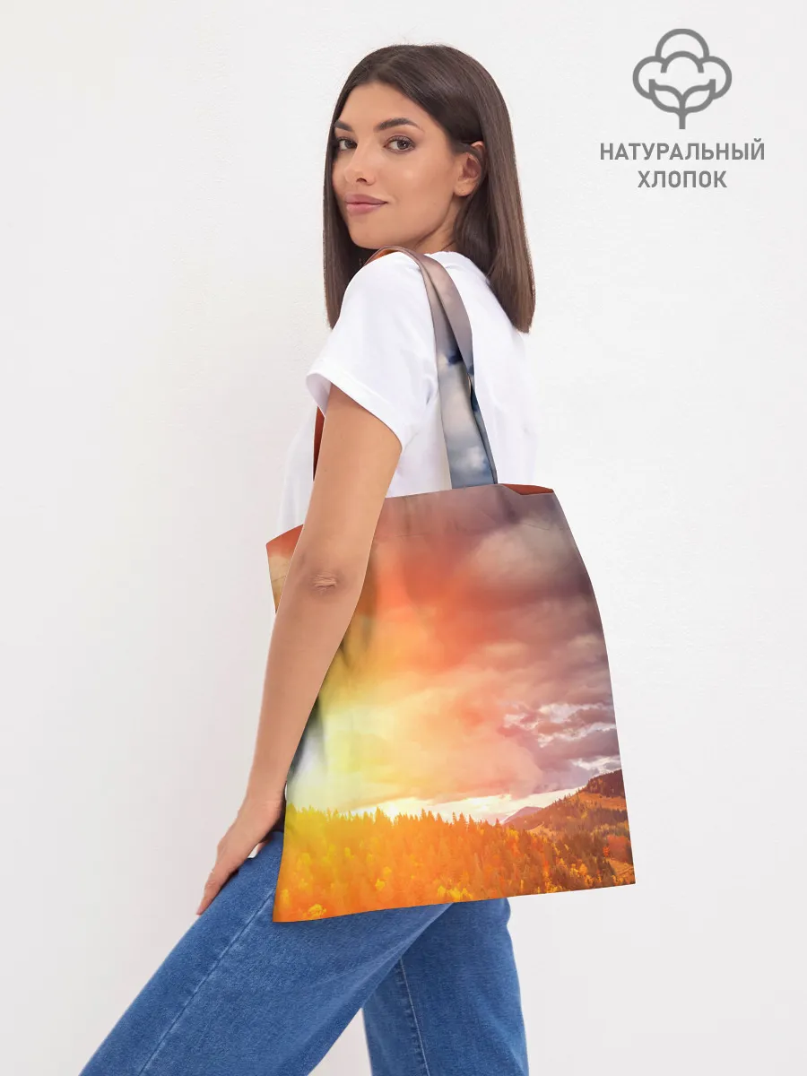 Шоппер база / Night Fury