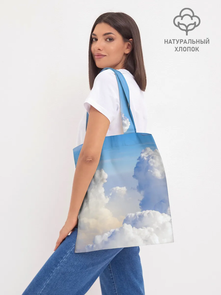 Шоппер база / Night Fury