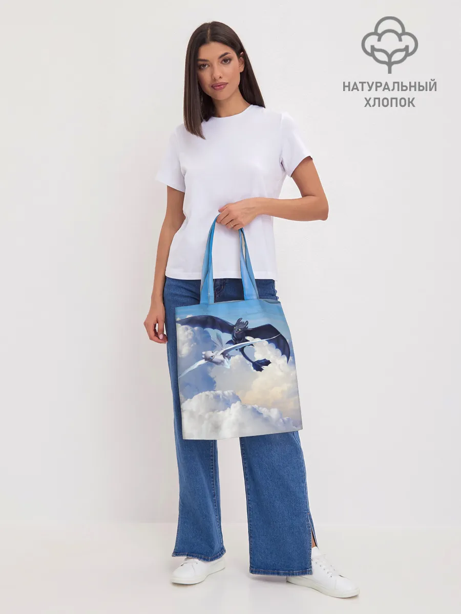 Шоппер база / Night Fury