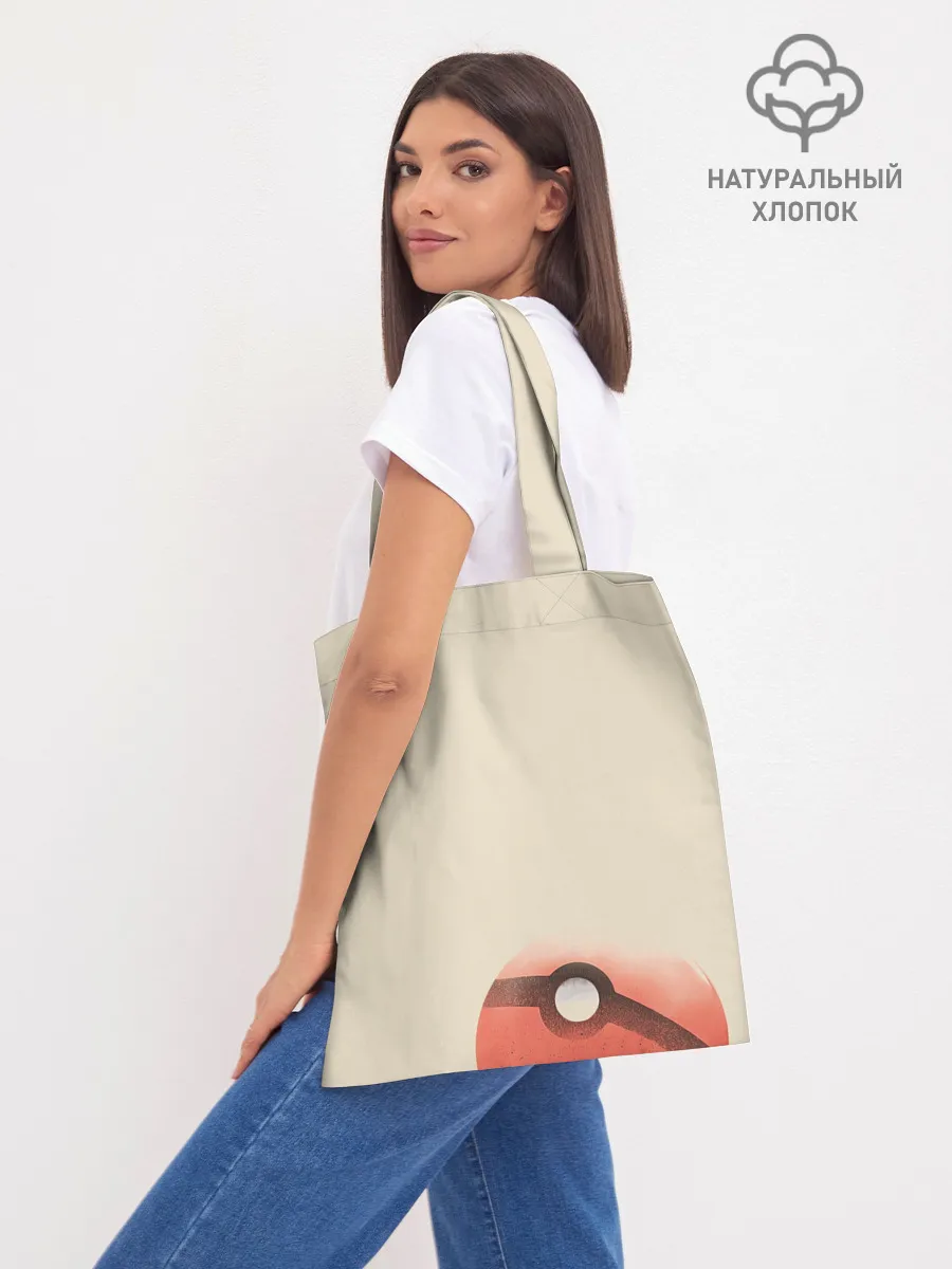 Шоппер база / Чаризард и покебол